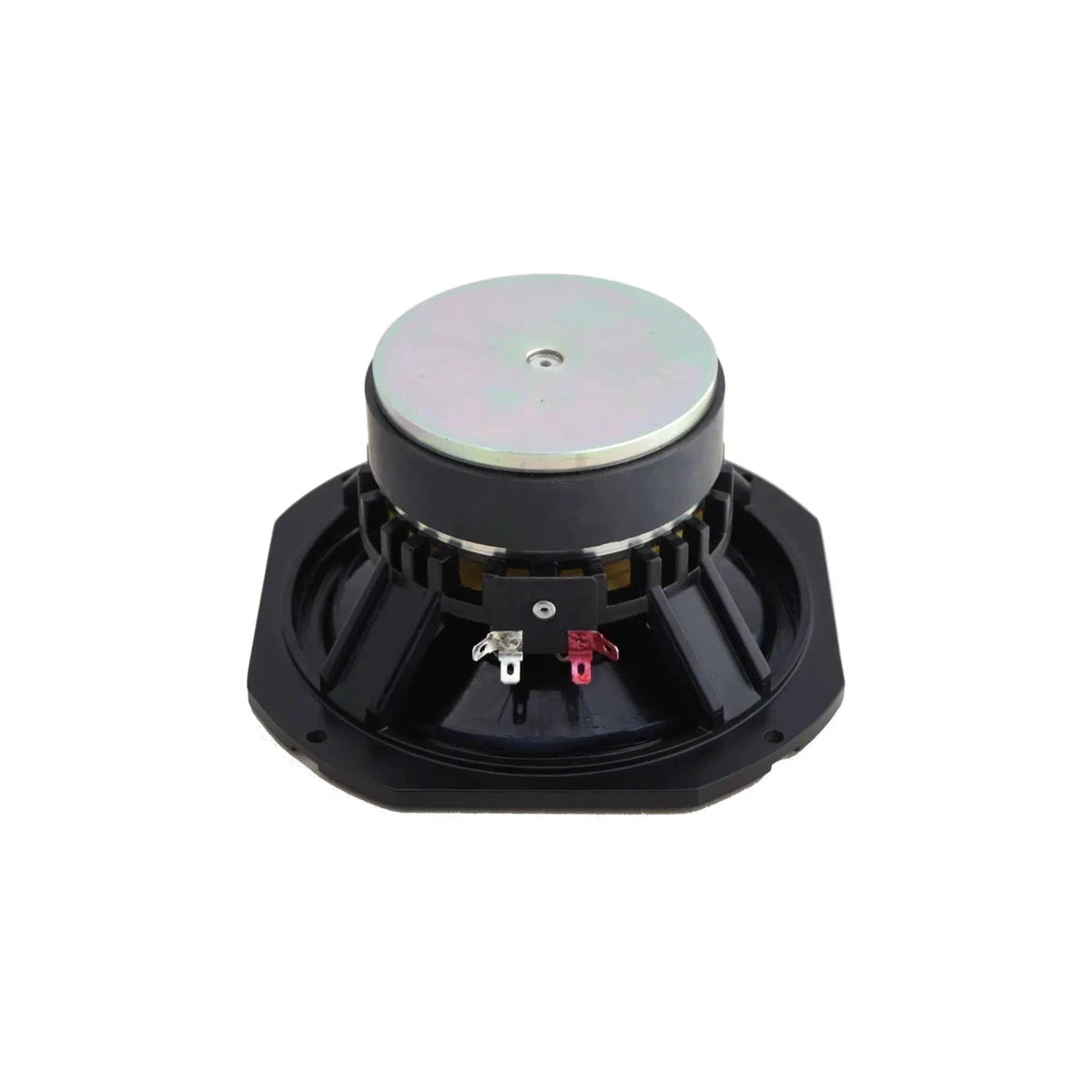 Altavoces Volt-BM1651-Controlador de graves y medios de 6,5" (16,5 cm)-Masori.de