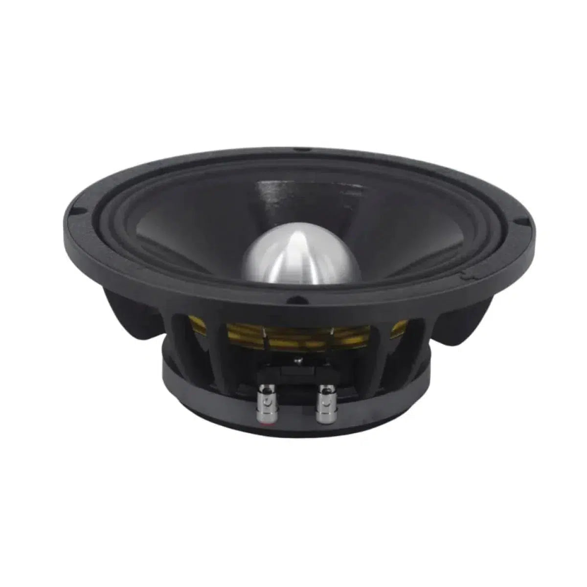 B2 Audio-RAGE 10P-10" (25cm) Haut-parleur de grave-médium-Masori.fr