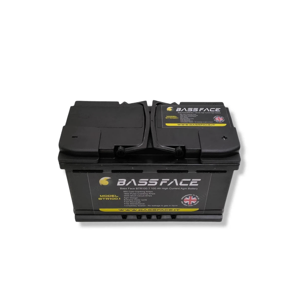 Bassface-BTR100.1 - 100Ah AGM-AGM Batterie-Masori.fr