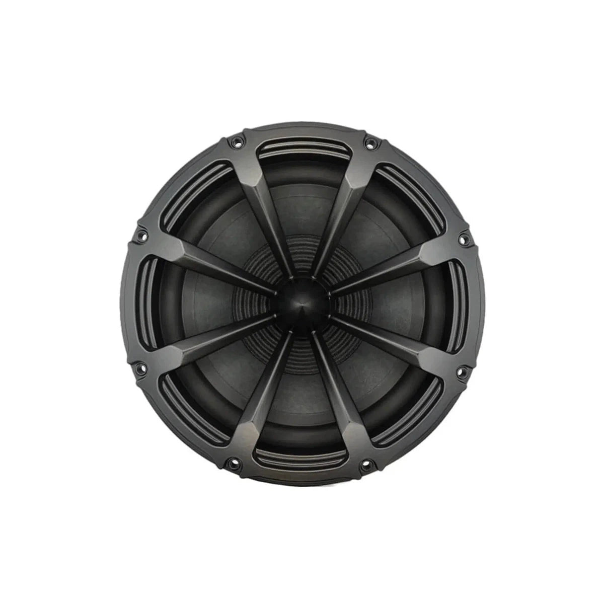 Volt Loudspeakers-RV2501-10" (25cm) Haut-parleur de grave-médium-Masori.fr