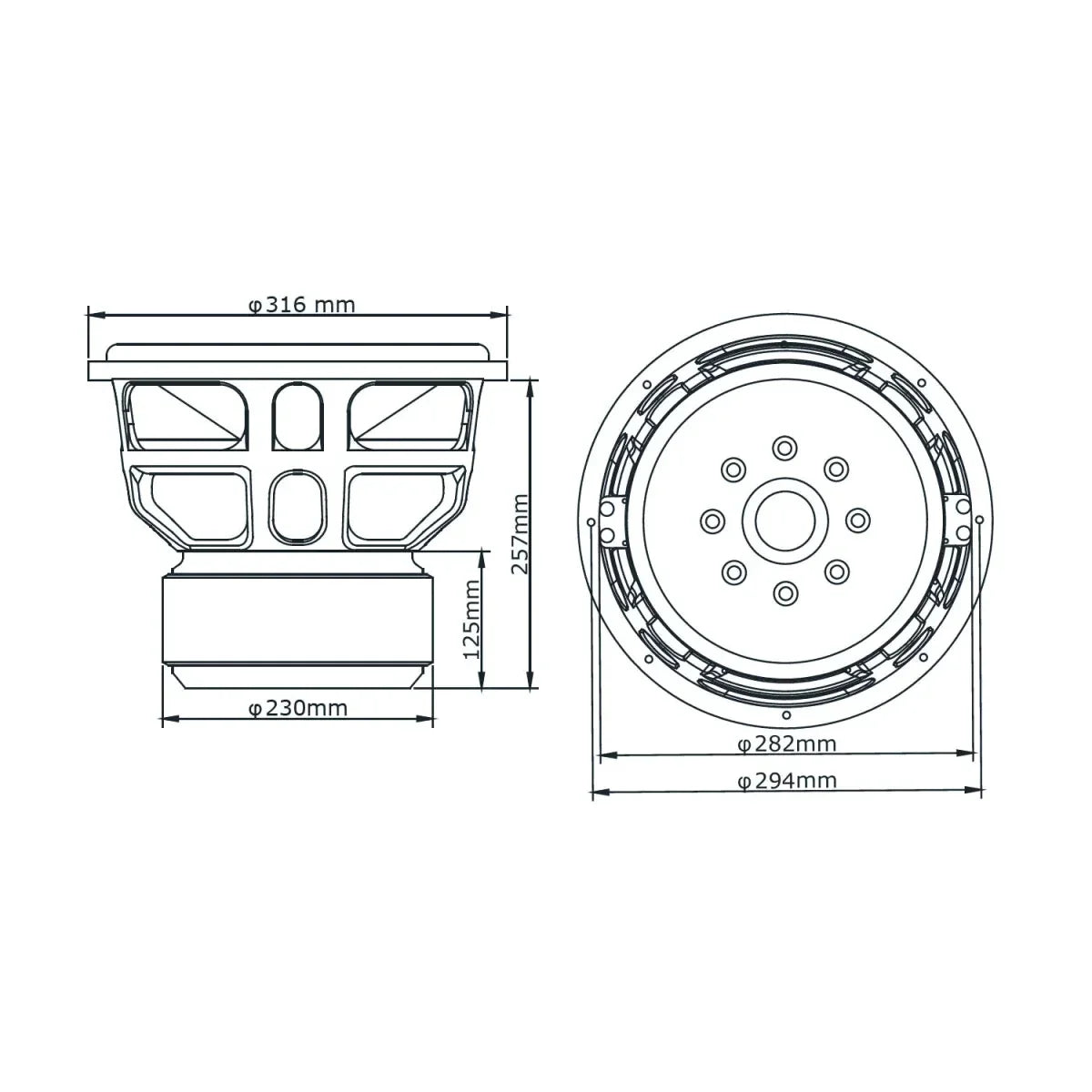 B2 Audio-Rage XL 12 V2 Carbon-12" (30cm) Subwoofer-Masori.de