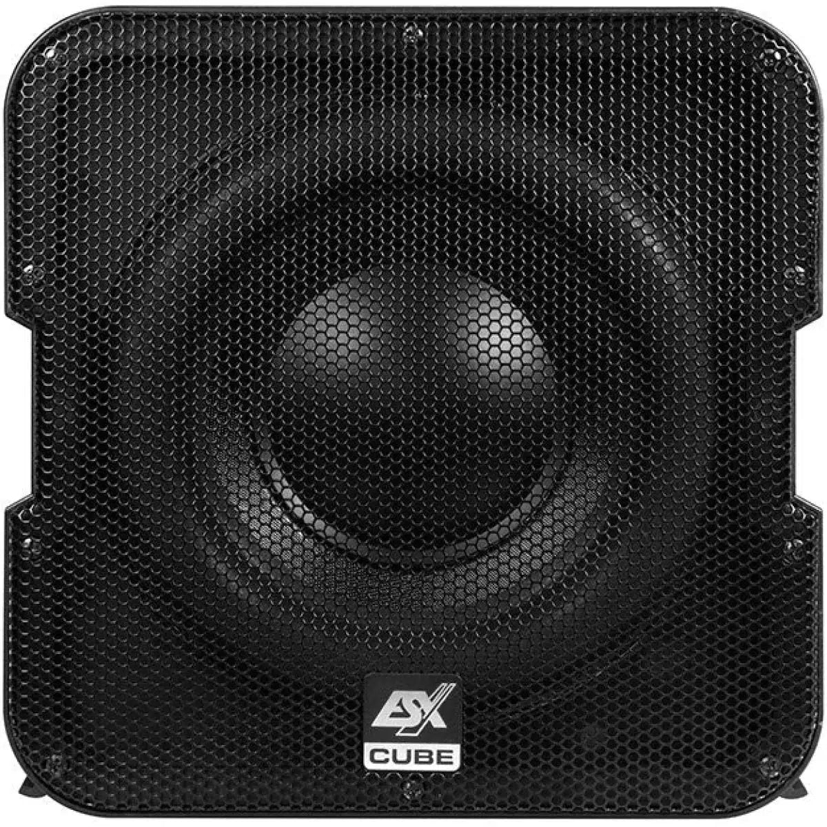 ESX-Vision V-1600A-8" (20cm) Aktiv-Gehäusesubwoofer-Masori.de