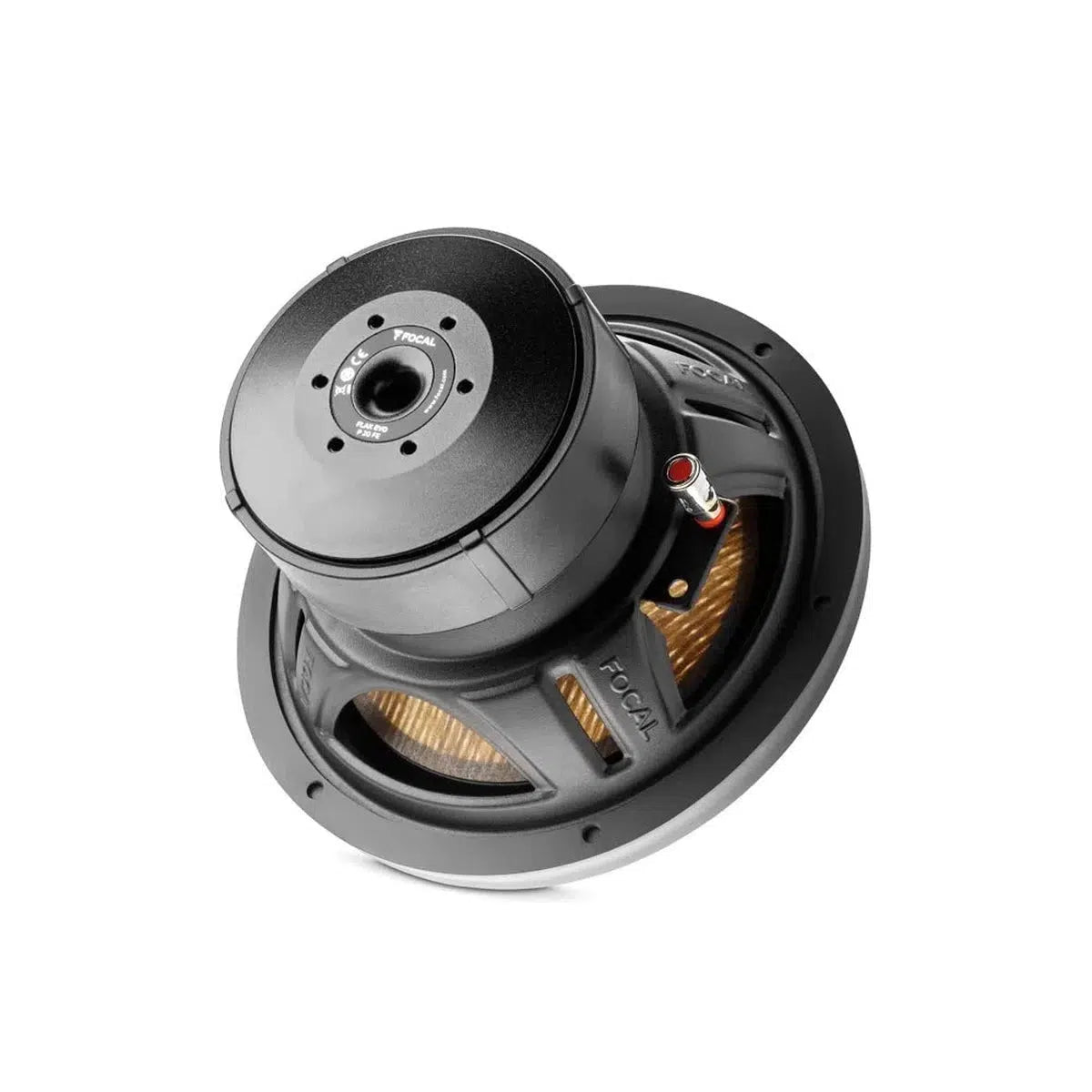 Focal-Flax Evo P20FE-8" (20cm) Subwoofer-Masori.de