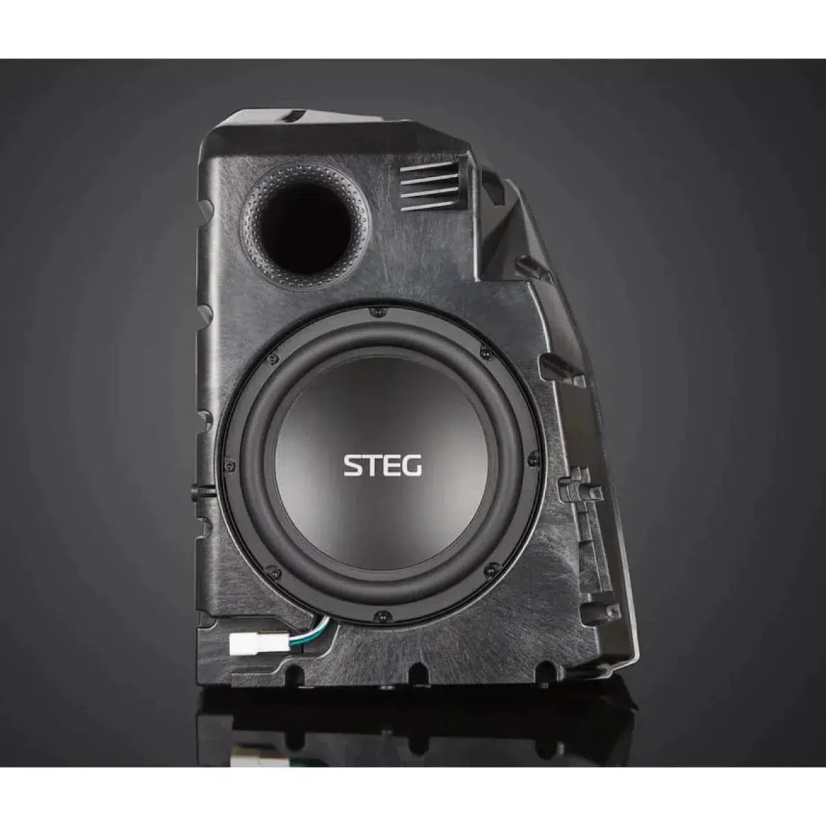 Steg-MT9-Tesla-Subwoofer-Masori.de