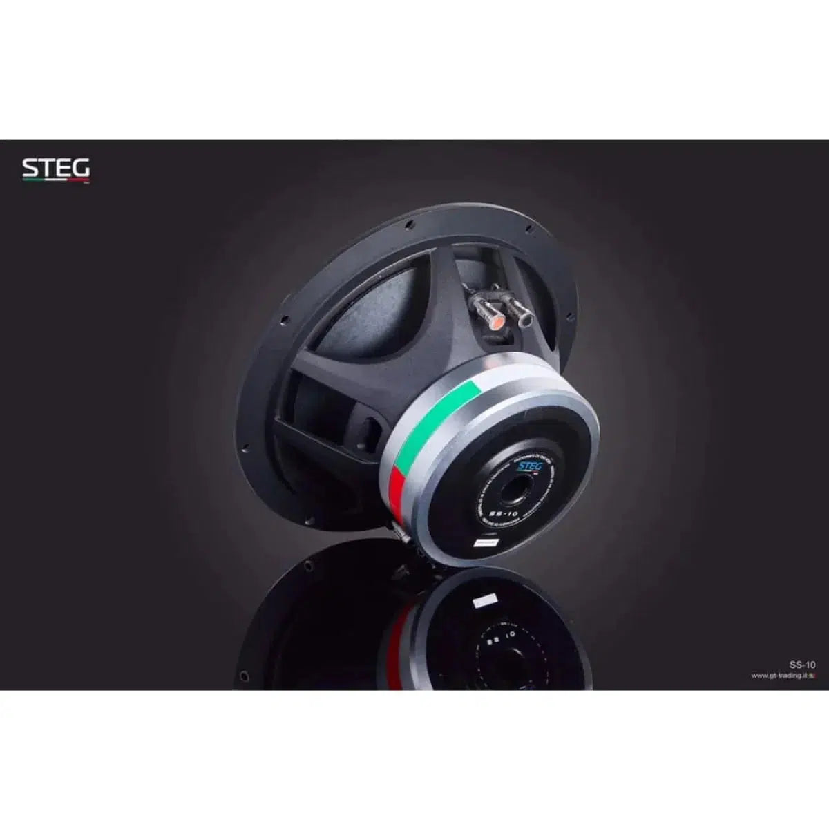 Steg-Masterstroke SS-10-10" (25cm) Subwoofer-Masori.de