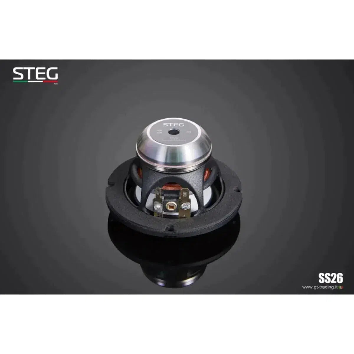 Steg-Masterstroke SS-652C-6.5" (16,5cm) Lautsprecherset-Masori.de