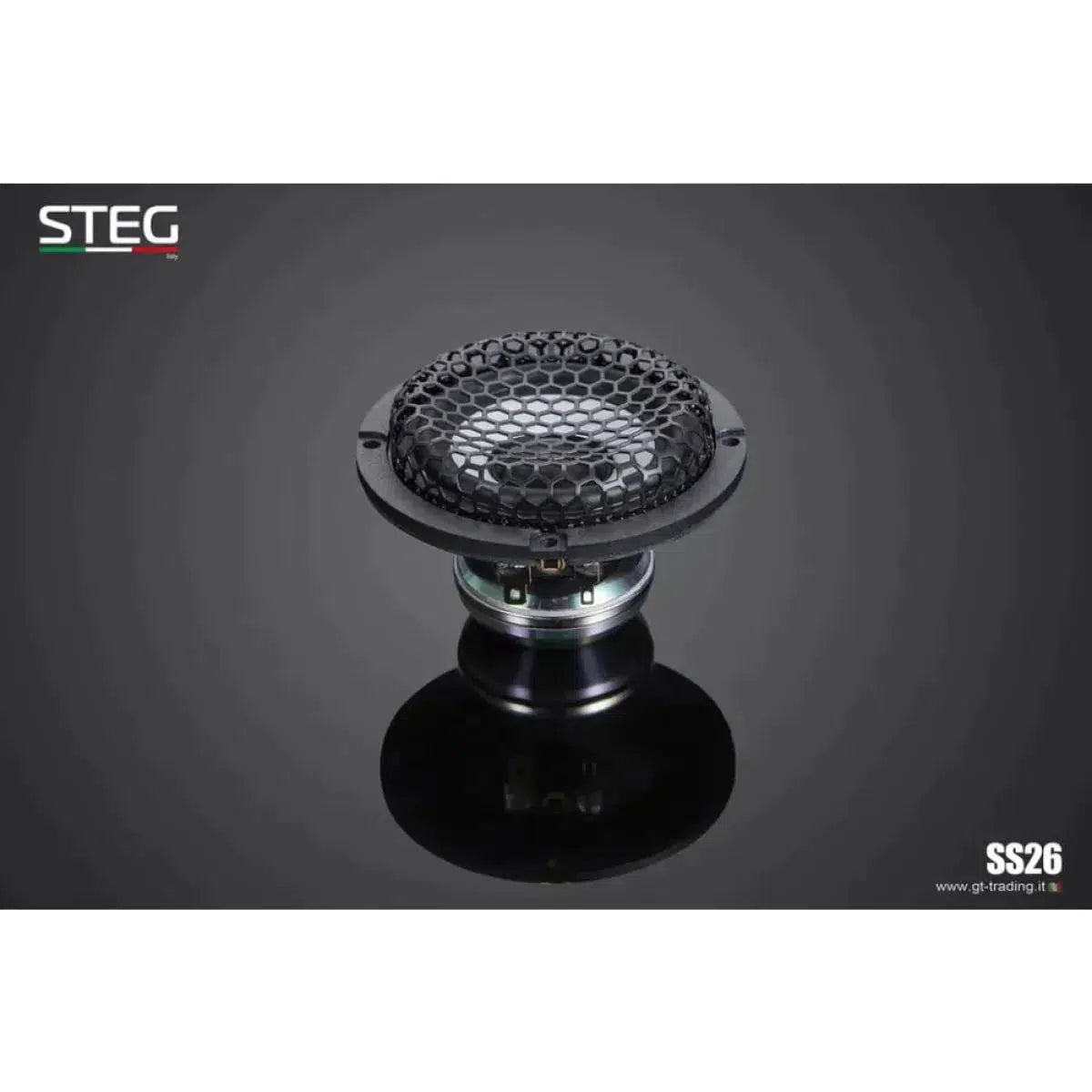 Steg-Masterstroke SS-652C-6.5" (16,5cm) Lautsprecherset-Masori.de