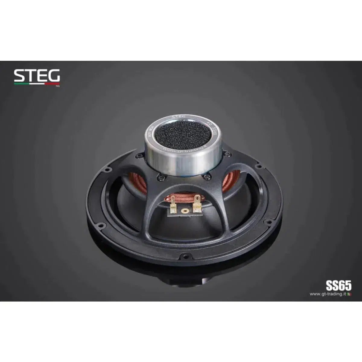 Steg-Masterstroke SS-652C-6.5" (16,5cm) Lautsprecherset-Masori.de