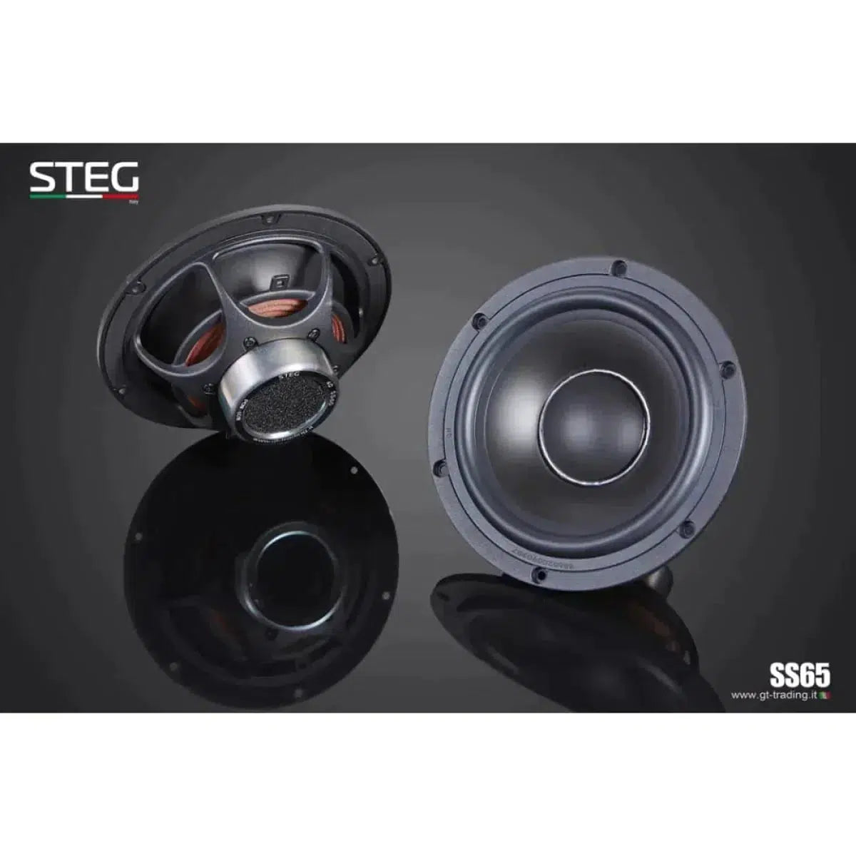 Steg-Masterstroke SS-652C-6.5" (16,5cm) Lautsprecherset-Masori.de