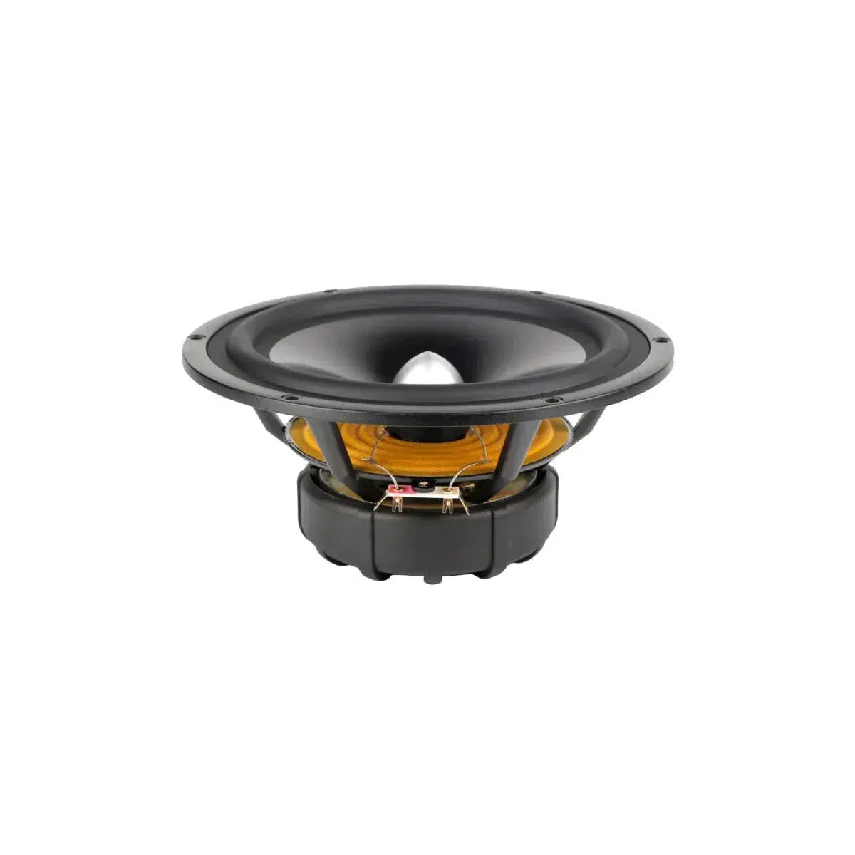 Seas-Lotus Reference RW220 - L0022-04S-8" (20cm) Tiefmitteltöner-Masori.de